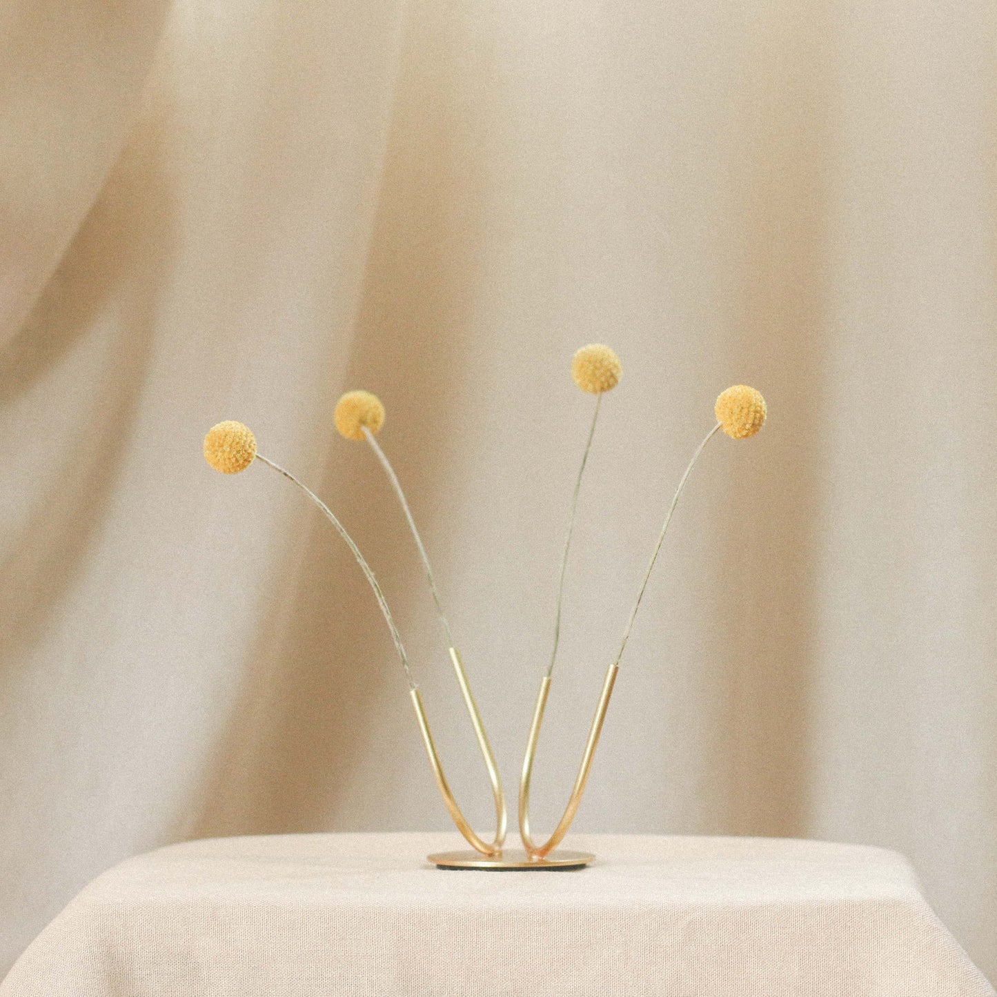 Brass Curves Sculpture
