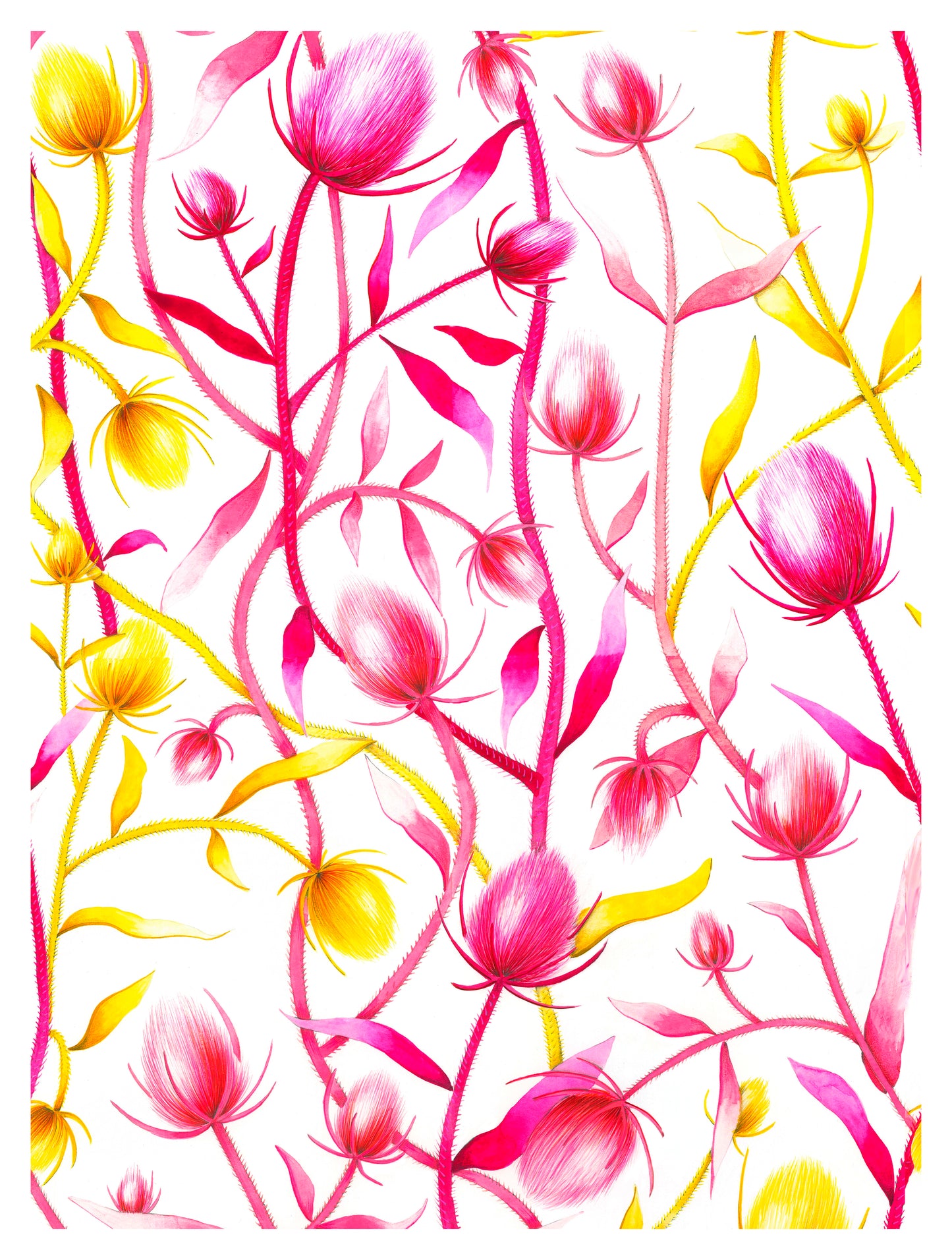 Wildflower Postcard