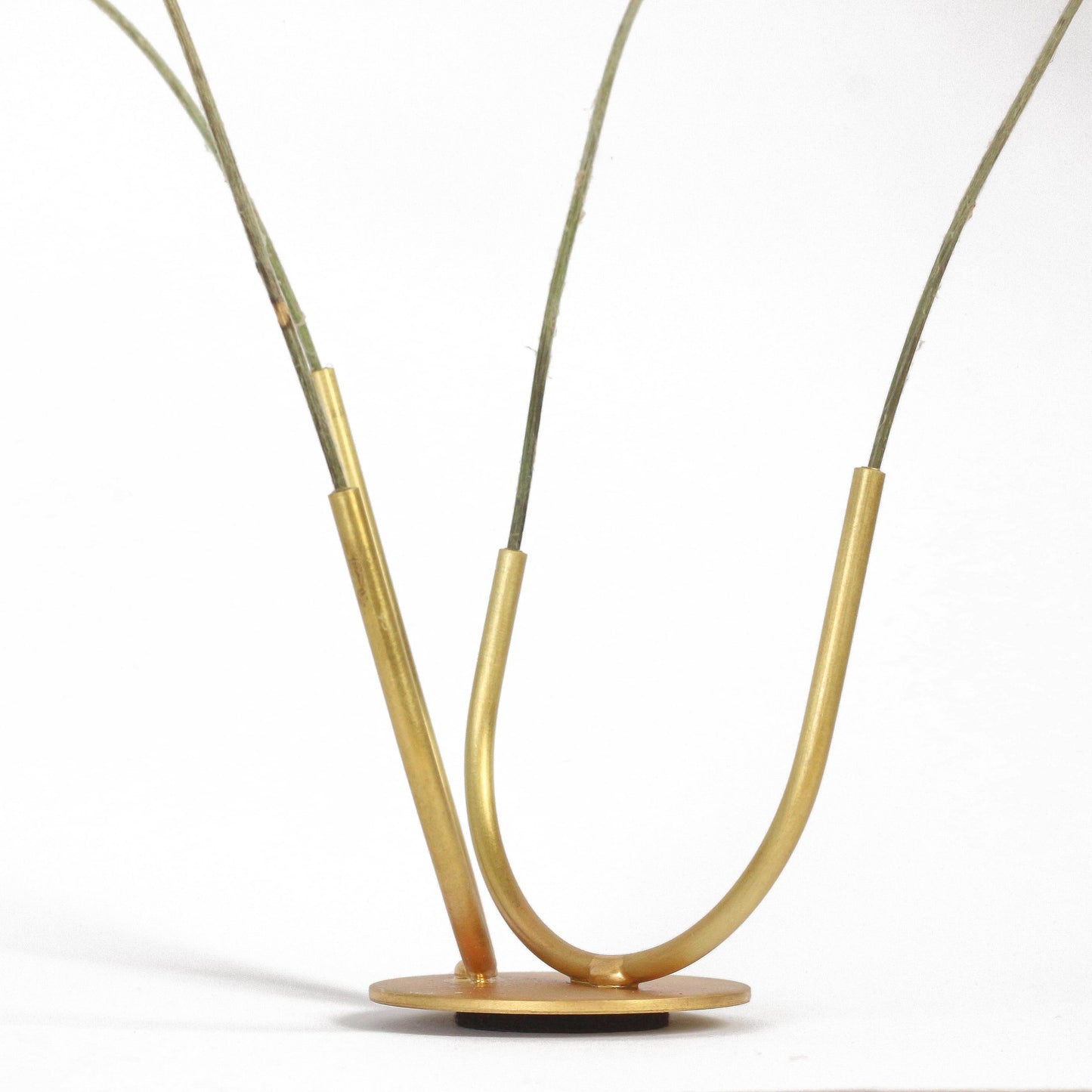 Brass Curves Sculpture